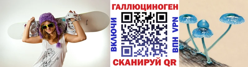 Псилоцибиновые грибы прущие грибы  ссылка на мегу ссылка  Катайск 